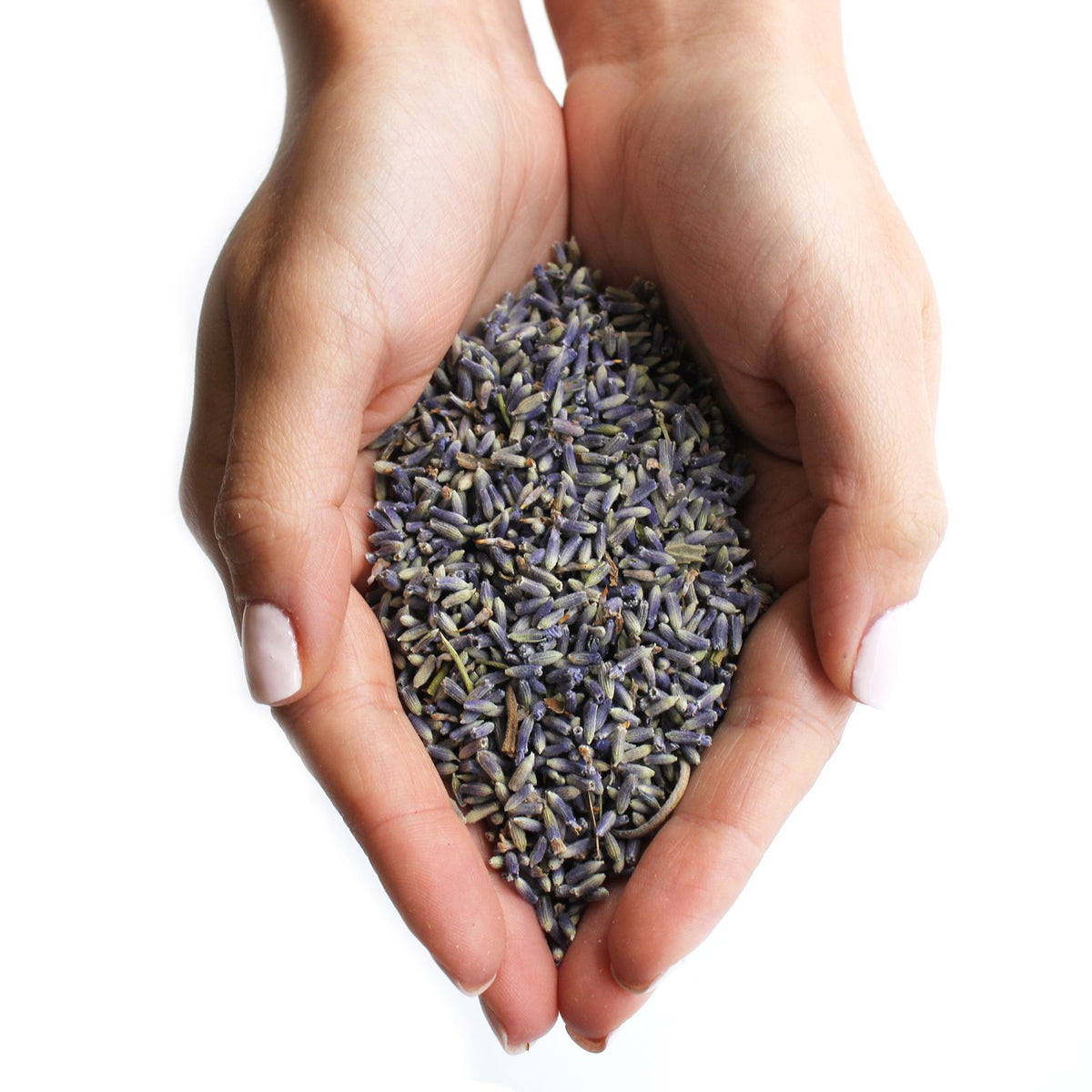 Dried Lavender Flowers – 1kg