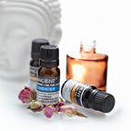 Eucalyptus Essential Oil – 10ml