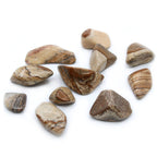 Kalahari Desert Stone Large Tumbles – Pack of 24