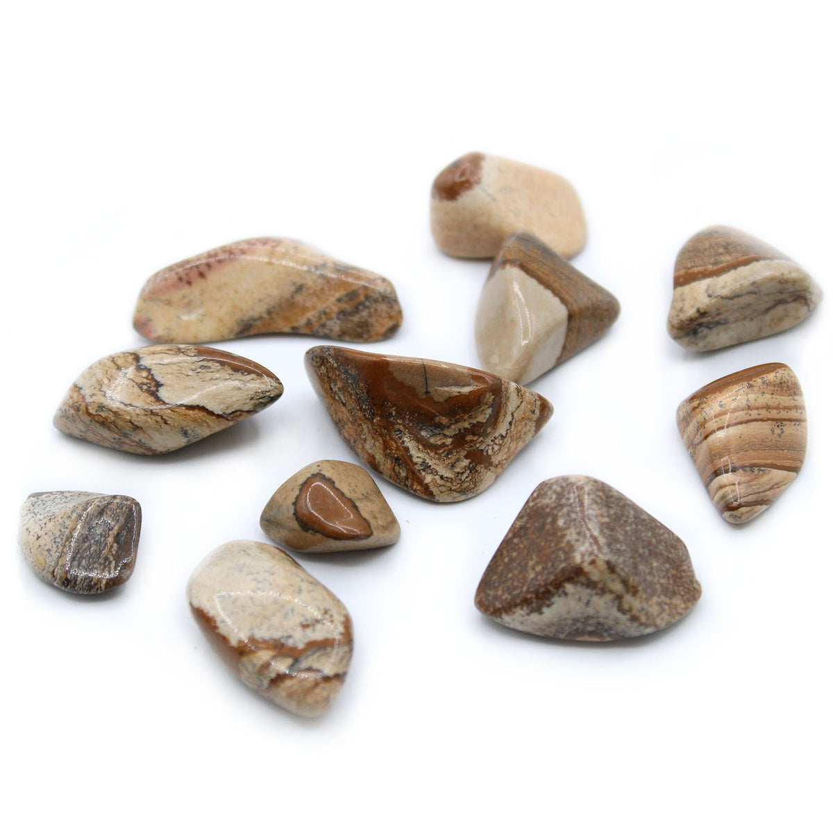 Kalahari Desert Stone Large Tumbles – Pack of 24