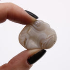 Botswana Grey Agate Tumble Stones – 12 Medium