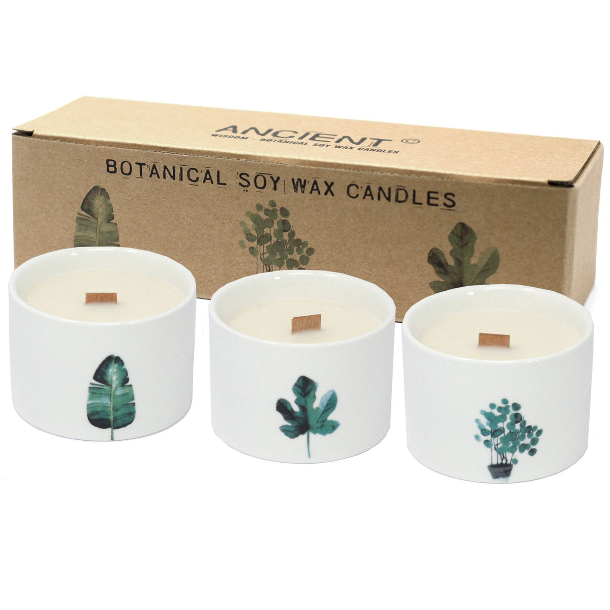 Lemon and Honeysuckle Botanical Soy Candles
