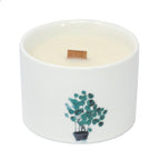 Lemon and Honeysuckle Botanical Soy Candles
