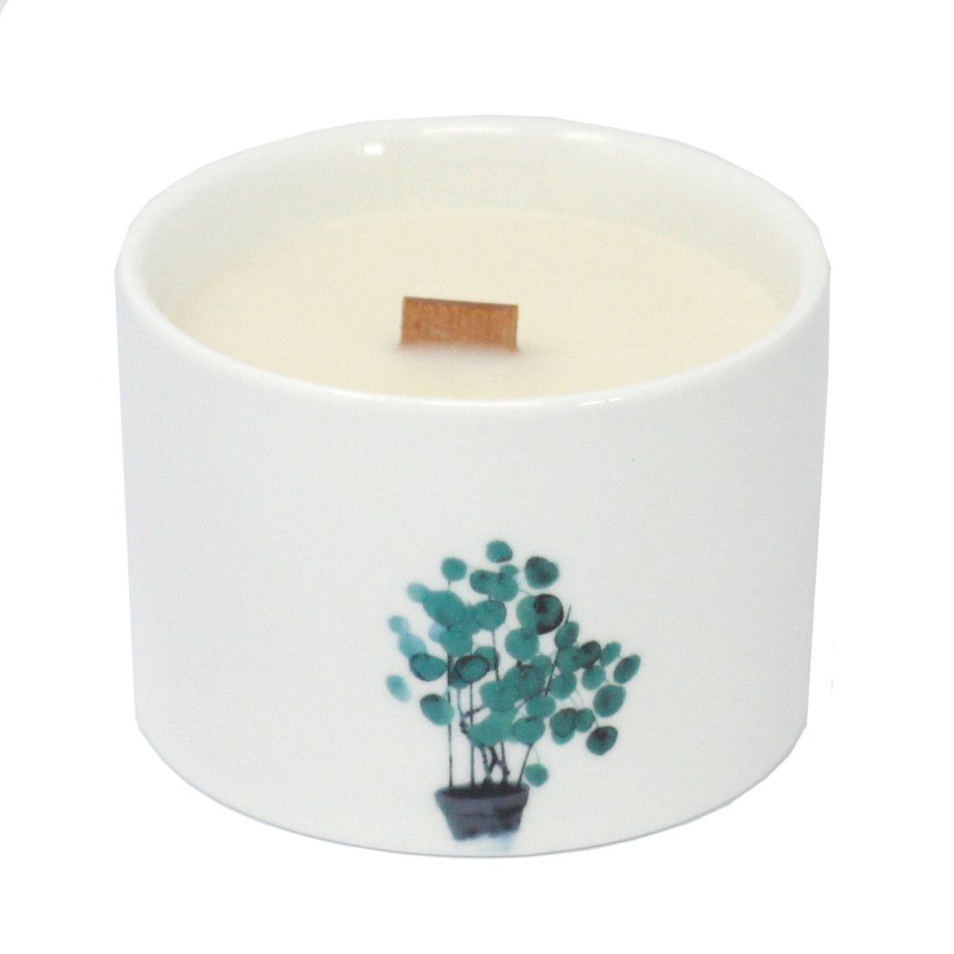 Lemon and Honeysuckle Botanical Soy Candles