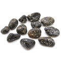 Guinea Fowl African Tumble Stones – 12 Medium Stones