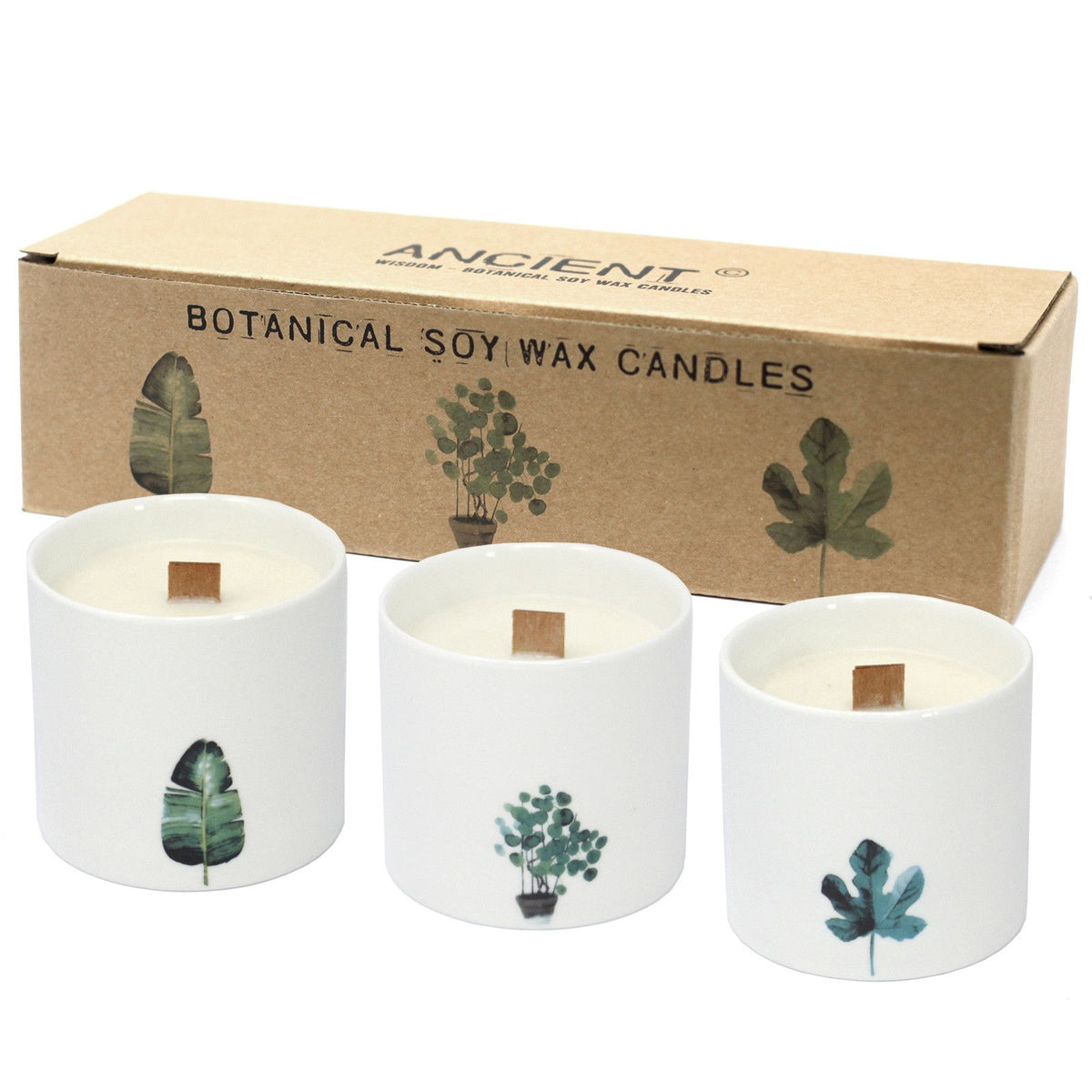 Botanical Soy Candles with Wooden Wicks – Set of 3