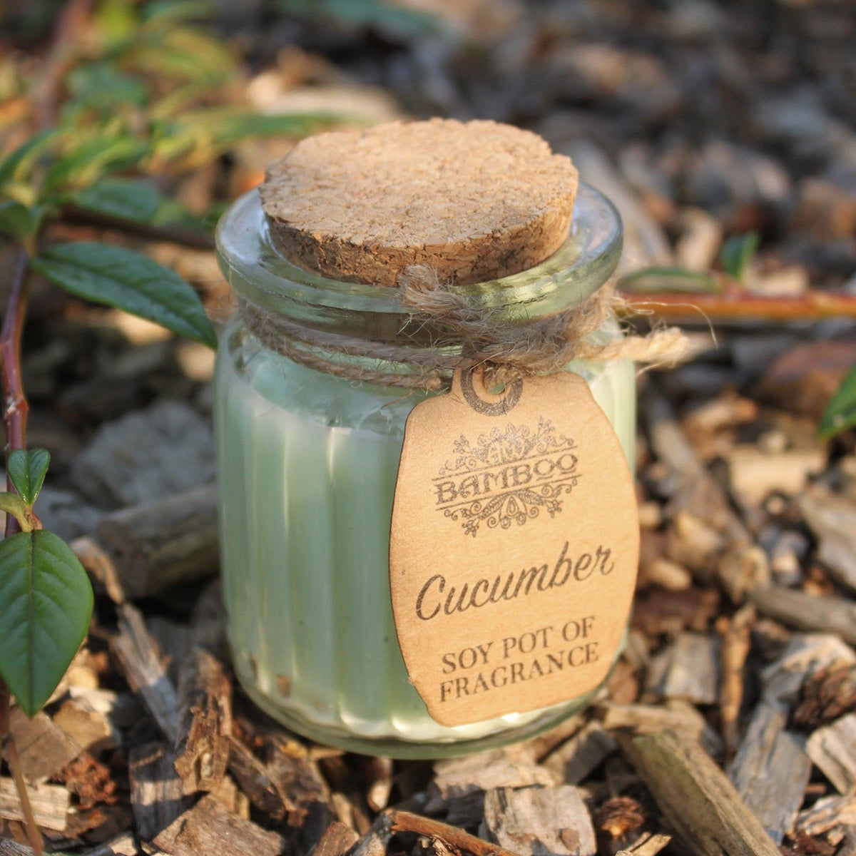 Cucumber Soy Wax Candle Pot