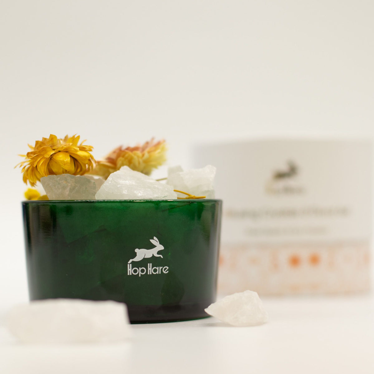 The Lion Diffusing Crystals and Floral Set