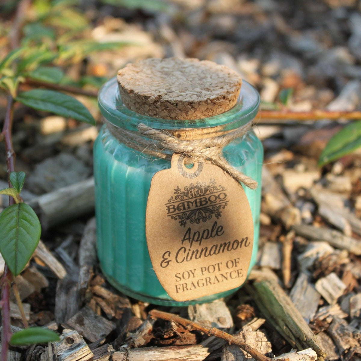 Apple Cinnamon Scented Soy Wax Candle Pot