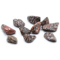 Leopard Skin Jasper Large Tumble Stones – Pack of 24