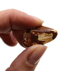 Light Brecciated Jasper Tumble Stones – 24 Pieces