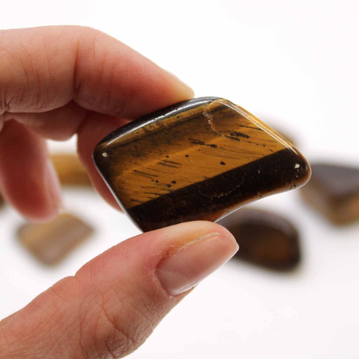 Gold Tiger’s Eye Large Tumble Stone