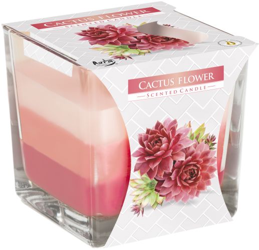 Cactus Flower Rainbow Jar Candle