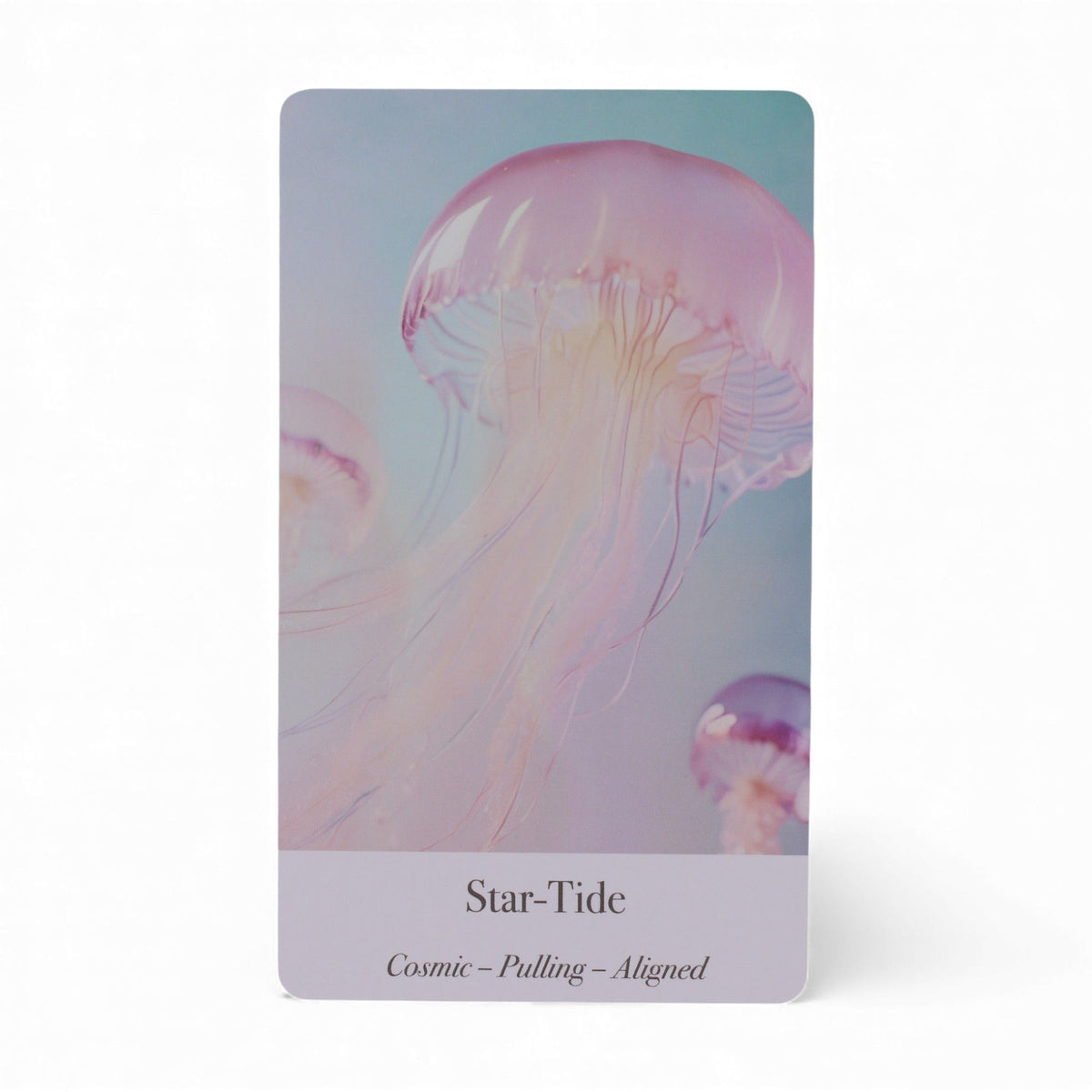Ethereal Waters Oracle Cards – Sirens & Moonlight