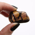 Nguni Jasper African Tumble Stones – 12 Medium Stones