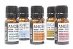 Focus & Drive Car Aromatherapy Blend – 10ml