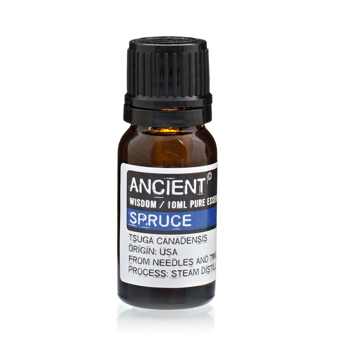 Spruce Essential Oil – 10ml