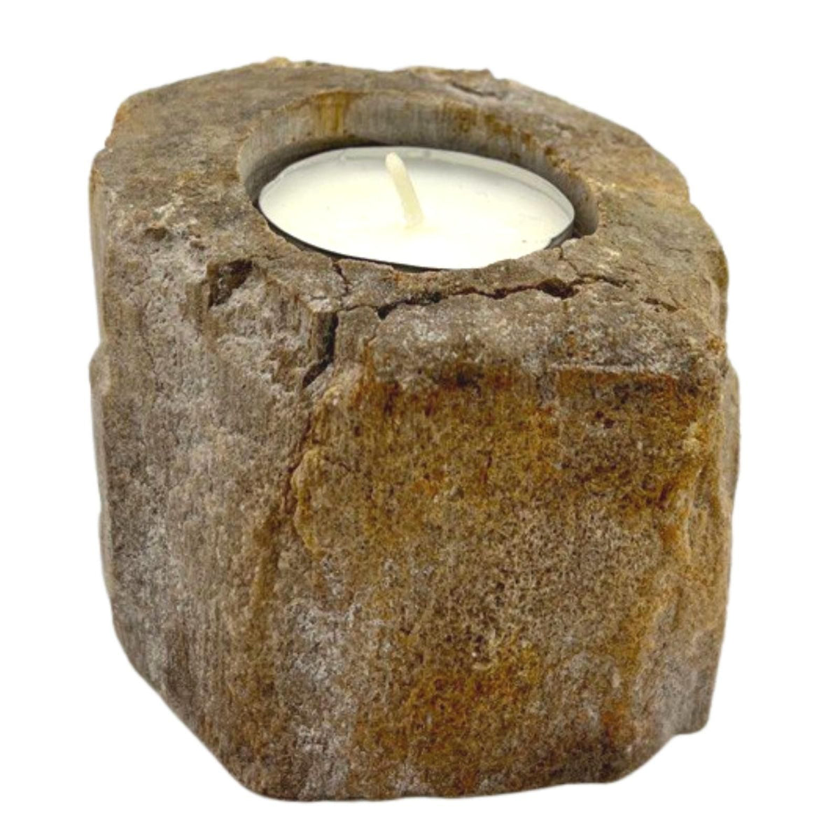 Low Petrified Wood Candle Holder