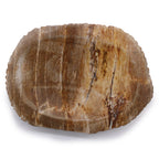 Brown Petrified Wood Soap Dish