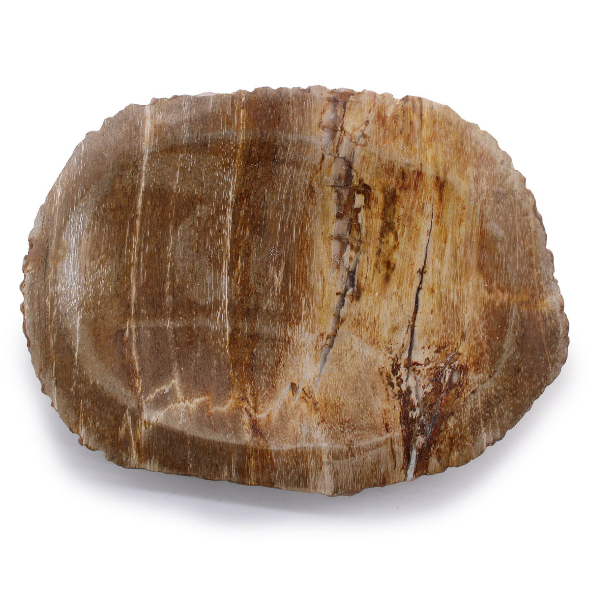 Brown Petrified Wood Soap Dish