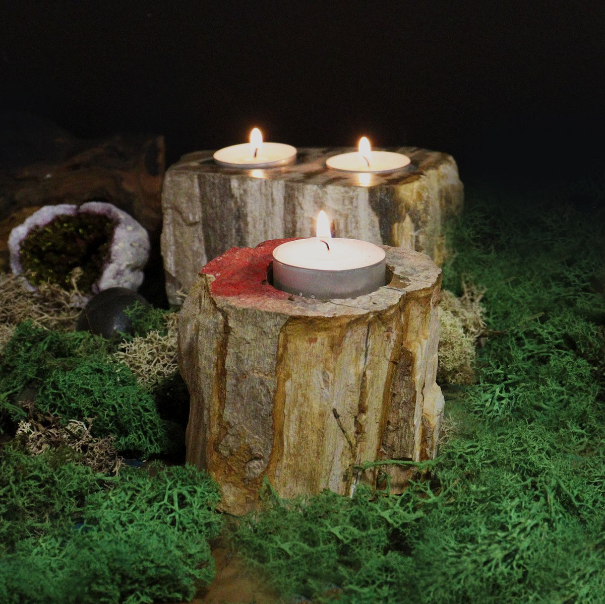Tall Petrified Wood Candle Holder – Single
