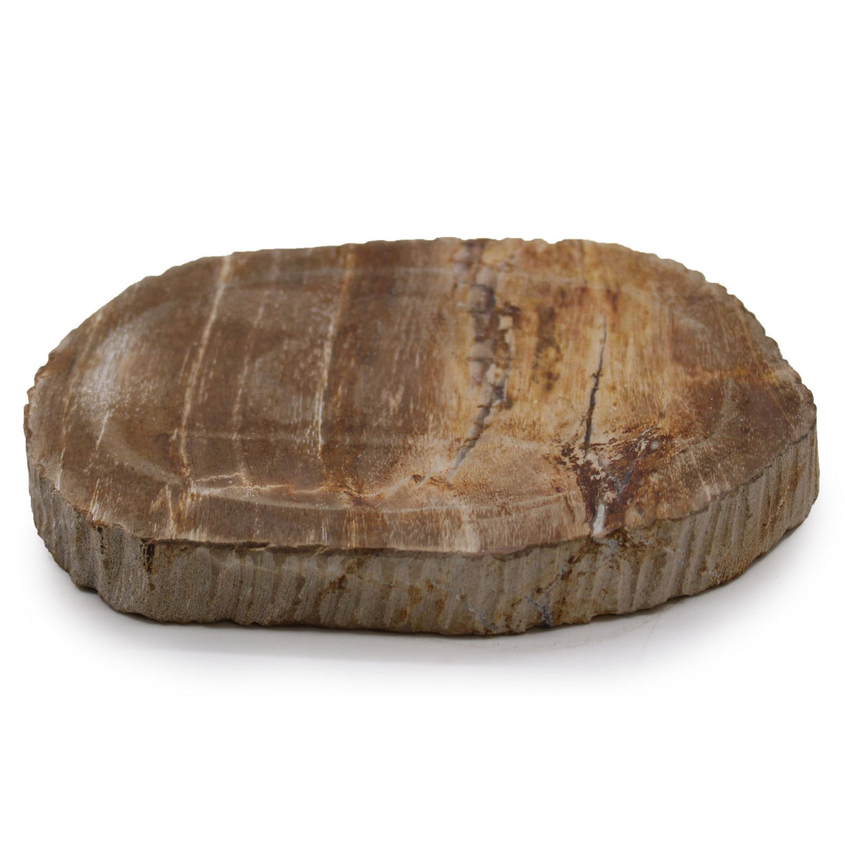 Brown Petrified Wood Soap Dish