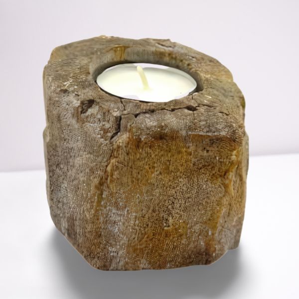 Low Petrified Wood Candle Holder