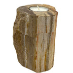 Tall Petrified Wood Candle Holder – Single