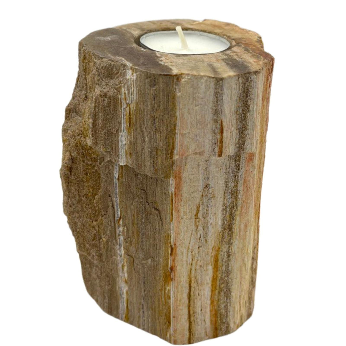 Tall Petrified Wood Candle Holder – Single