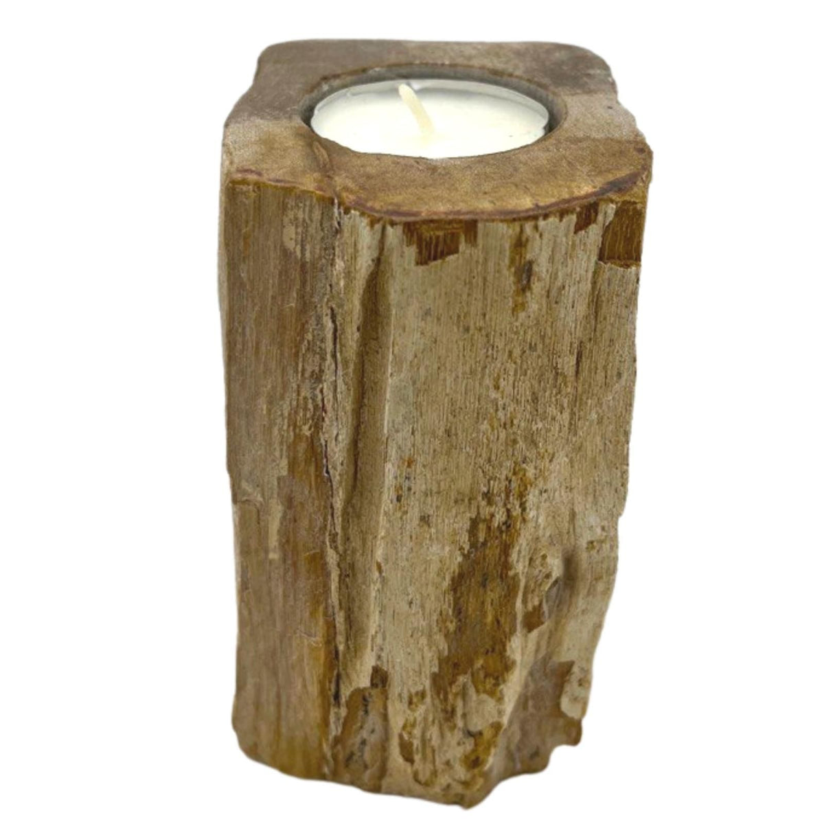 Tall Petrified Wood Candle Holder – Single