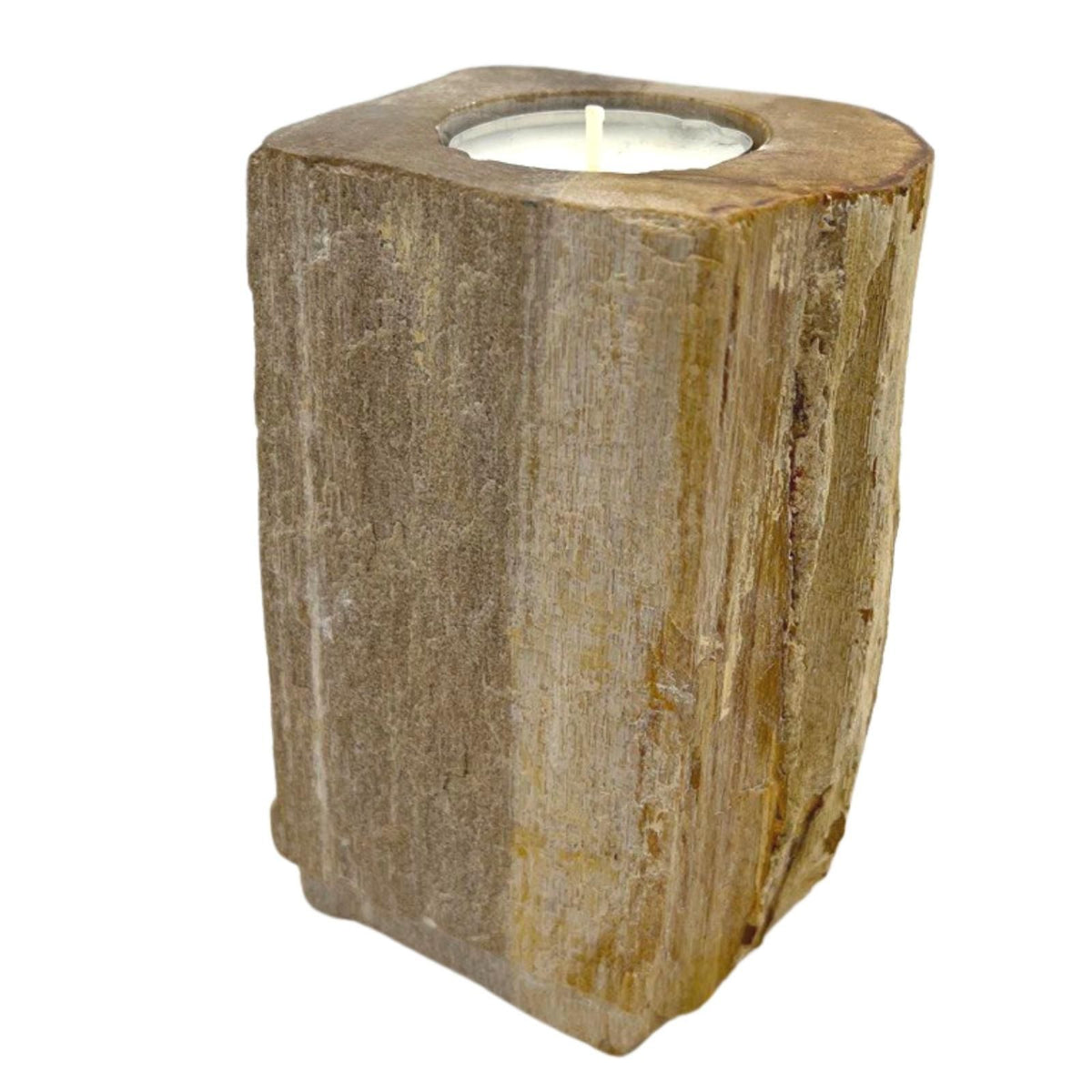 Tall Petrified Wood Candle Holder – Single