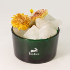 The Lion Diffusing Crystals and Floral Set