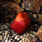 Fire Crystal Element Soap