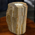 Tall Petrified Wood Candle Holder – Single