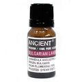 Bulgarian Lavender Essential Oil – 10ml