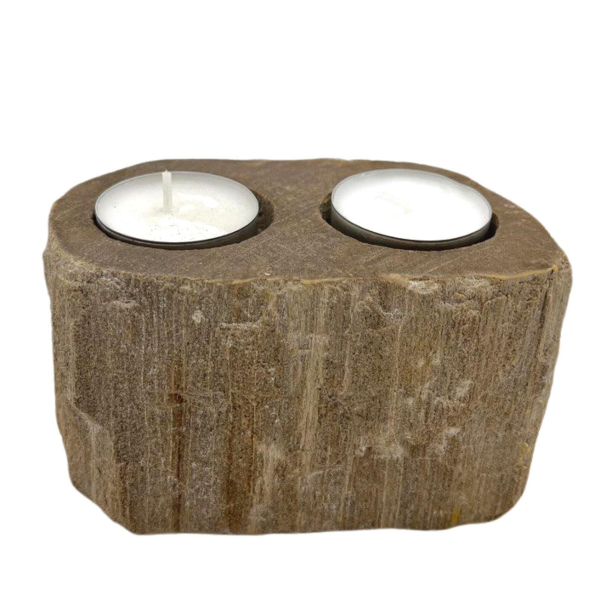 Double Petrified Wood Candle Holder