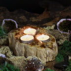 Double Petrified Wood Candle Holder
